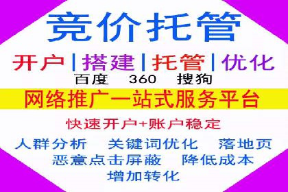 行业领先企业的SEM运营策略案例解析